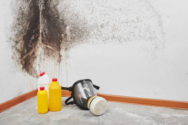 Best Crawl Space Mold Removal  in Cleveland, TN